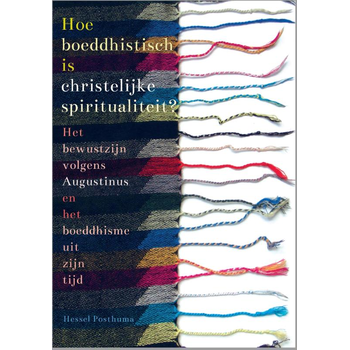 Hoe boeddhistisch is christelijke spiritualiteit? (Paperback) bij Singel 344