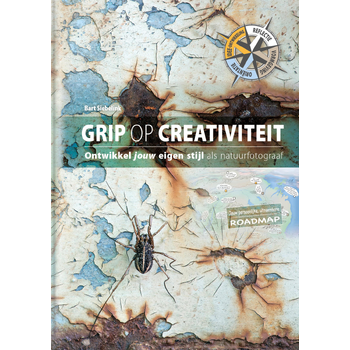 Grip op creativiteit (Hardback) bij Singel 344