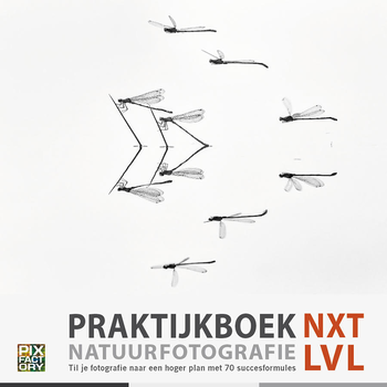 Praktijkboek Natuurfotografie NXT LVL (Hardback) bij Singel 344
