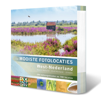 West-Nederland: Noord-Holland, Zuid-Holland en Utrecht (Paperback) bij Singel 344