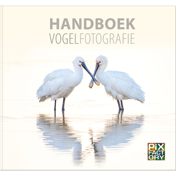 Handboek Vogelfotografie (Hardback) bij Singel 344