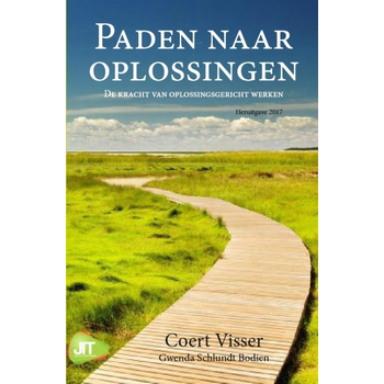 Paden naar oplossingen (Paperback) bij Singel 344