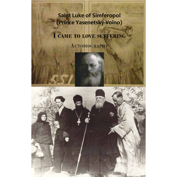 I came to love suffering (Paperback) bij Singel 344