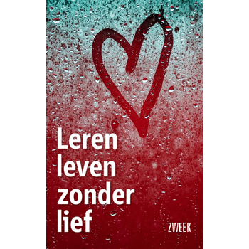Leren leven zonder lief (Paperback) bij Singel 344