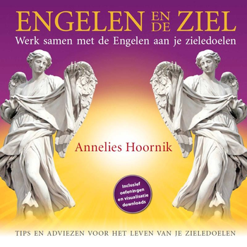 Engelen en de ziel (Hardback) bij Singel 344
