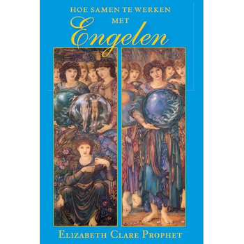 Hoe samen te werken met engelen (Paperback) bij Singel 344
