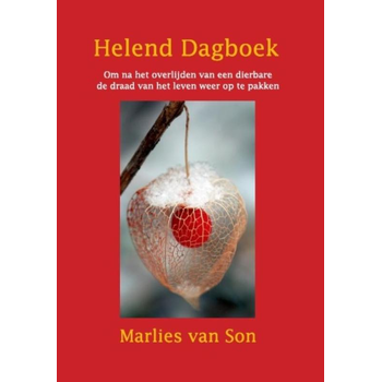 Helend dagboek (Hardback) bij Singel 344