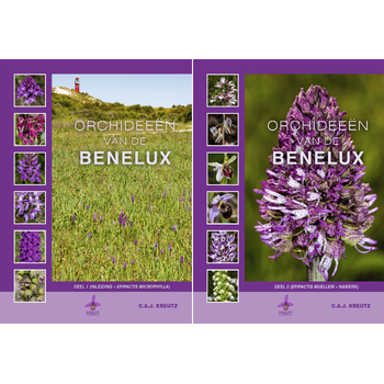 Orchideeën van de Benelux (Hardback) bij Singel 344