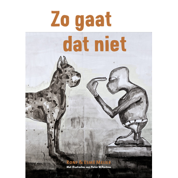 Zo gaat dat niet (Hardback) bij Singel 344