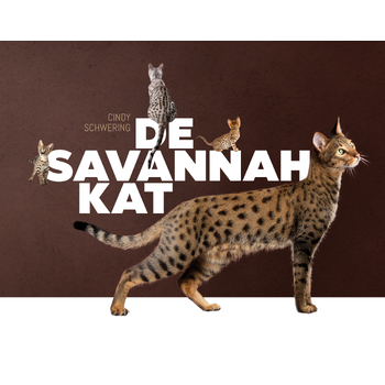 De Savannah kat (Hardback) bij Singel 344