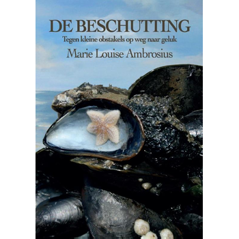 De beschutting (Paperback) bij Singel 344