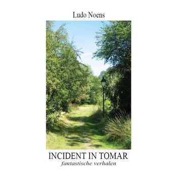 Incident in Tomar (Hardback) bij Singel 344