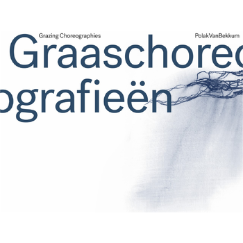 Graaschoreografieën (Paperback) bij Singel 344