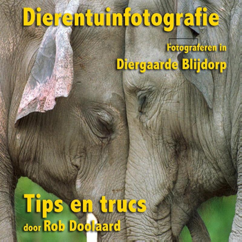 Dierentuinfotografie (Paperback) bij Singel 344