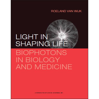 Light in shaping life (Paperback) bij Singel 344