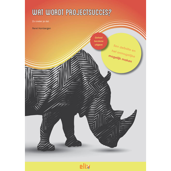 Wat wordt projectsucces? (Paperback) bij Singel 344