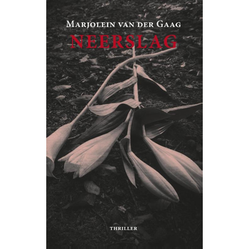 Neerslag (Paperback) bij Singel 344
