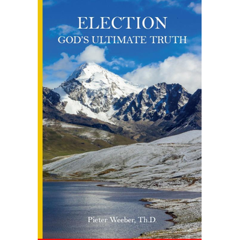 Election (Paperback) bij Singel 344
