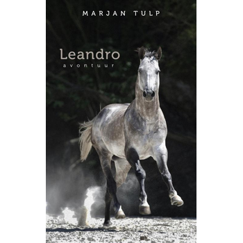 Leandro (Paperback) bij Singel 344