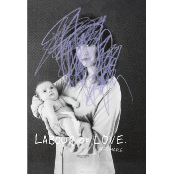 Sarah Maple Labour Of Love (Hardback) bij Singel 344