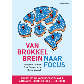 Van brokkelbrein naar focus (Paperback) bij Singel 344
