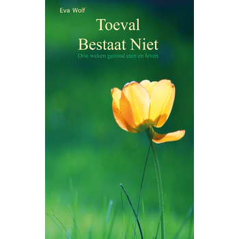 Toeval bestaat niet (Paperback) bij Singel 344