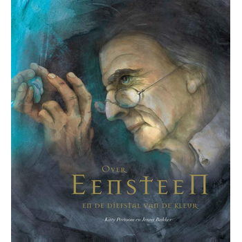 Over Eensteen en de diefstal van de kleur (Hardback) bij Singel 344