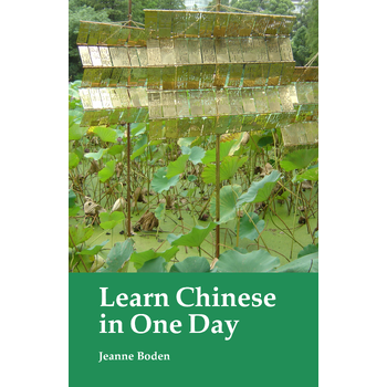 Learn Chinese in One Day (Paperback) bij Singel 344
