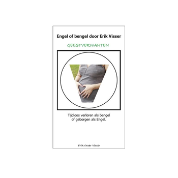 Engel of bengel (Paperback) van Erik O. Visser