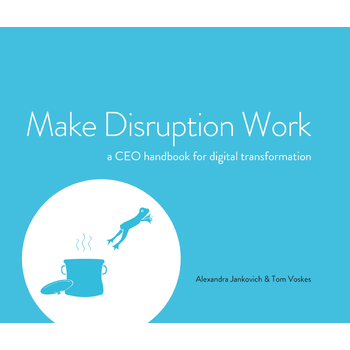 Make Disruption Work (Paperback) bij Singel 344