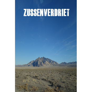 Zussenverdriet (Paperback) bij Singel 344