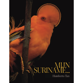 Mijn Suriname (Paperback) bij Singel 344