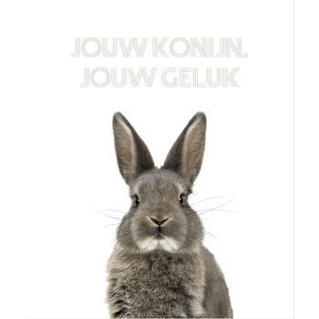 Jouw konijn, jouw geluk (Hardback) bij Singel 344