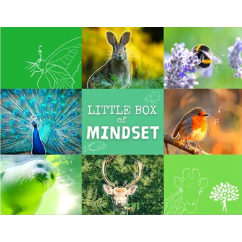 Little Box of Mindset van Meindert Tjerkstra