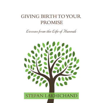 Giving Birth to your Promise (Paperback) bij Singel 344