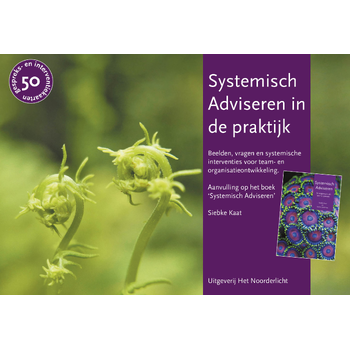 Systemisch Adviseren in de praktijk (Loose-leaf) bij Singel 344