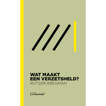 Wat maakt een verzetsheld? (Paperback) bij Singel 344