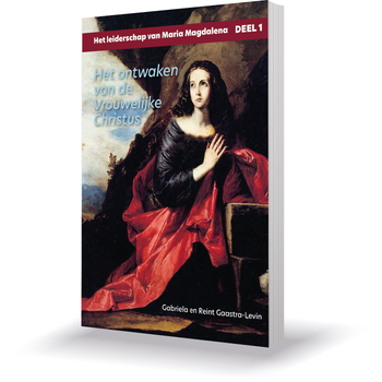Het ontwaken van de Vrouwelijke Christus (Paperback) bij Singel 344