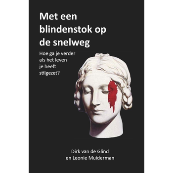 Met een blindenstok op de snelweg (Hardback) bij Singel 344