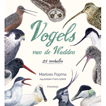 Vogels van de Wadden (Hardback) bij Singel 344