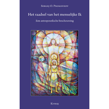 Het raadsel van het menselijke Ik (Paperback) bij Singel 344