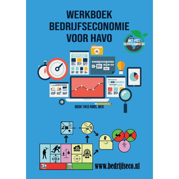 Werkboek bedrijfseconomie voor havo (Paperback) bij Singel 344
