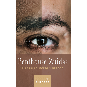 Penthouse Zuidas (Paperback) bij Singel 344