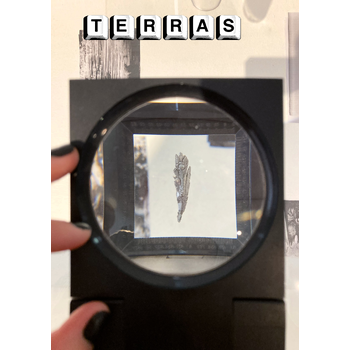 Terras 26 'Magia/No magia' (Paperback) bij Singel 344