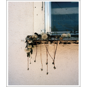 Stick Holding Branch (Paperback) bij Singel 344