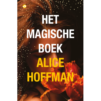 Het magische boek (Paperback) bij Singel 344
