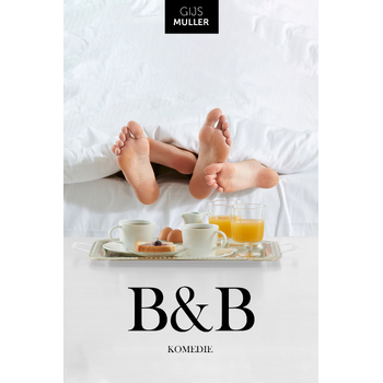 B&B (Paperback) bij Singel 344