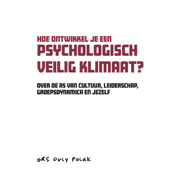 Hoe ontwikkel je een psychologisch veilig klimaat? (Paperback) bij Singel 344