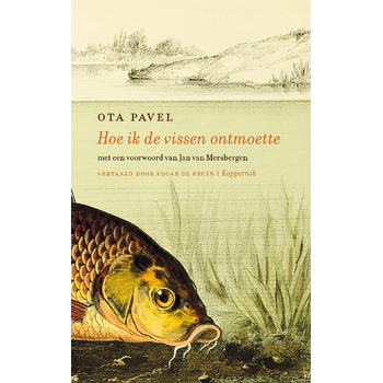 Hoe ik de vissen ontmoette (Paperback) bij Singel 344