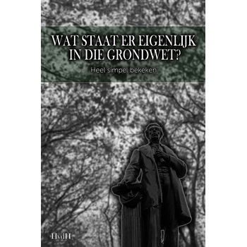 Wat staat er eigenlijk in die grondwet? (Paperback) bij Singel 344